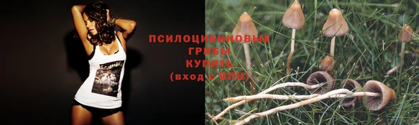 гидропоника Нефтекумск