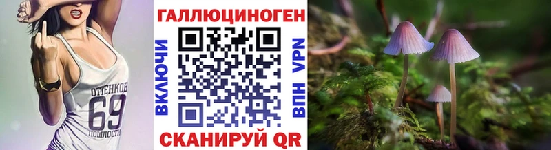 где найти   Грозный  Галлюциногенные грибы ЛСД 