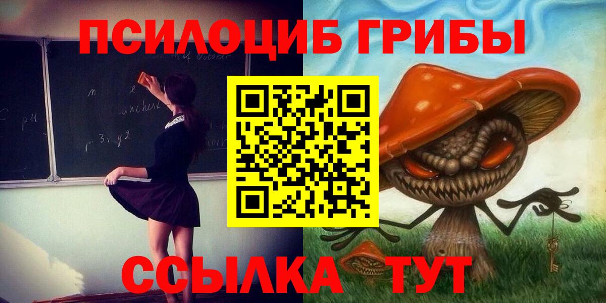 Галлюциногенные грибы GOLDEN TEACHER  Псилоцибиновые грибы мухоморы  Грозный 