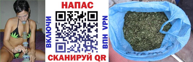 Канабис сатива Грозный